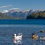 San Martín de los Andes