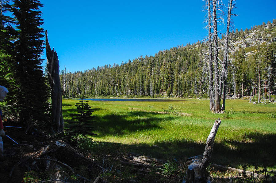 Tahoma, California, United States