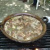 Fritada de cabrito,Saltillo, Mexico