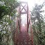 Monteverde