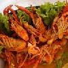 Camarones gigantes,Guaymas, Mexico
