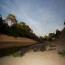Pantanal