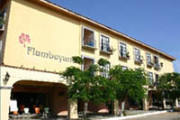 Flamboyant Huatulco