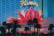 Flamingo Las Vegas