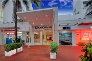 Barahona 446