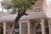 Hotel San Miguel Imperial