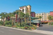 Peacock Suites