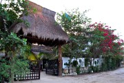 Green Tulum