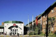 Ibis Mendoza