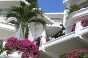 Hotel Dolphin Cove Inn