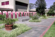 Camino Real Guadalajara